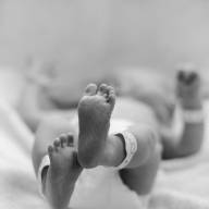 Gólyahír! A jövő főszerkesztője köztünk van.