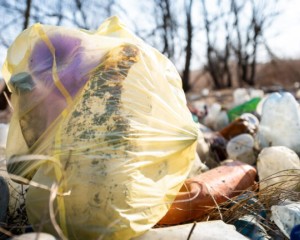 Kormányzati támogatással számoltak fel illegális hulladéklerakókat Esztergom-Kertvárosban
