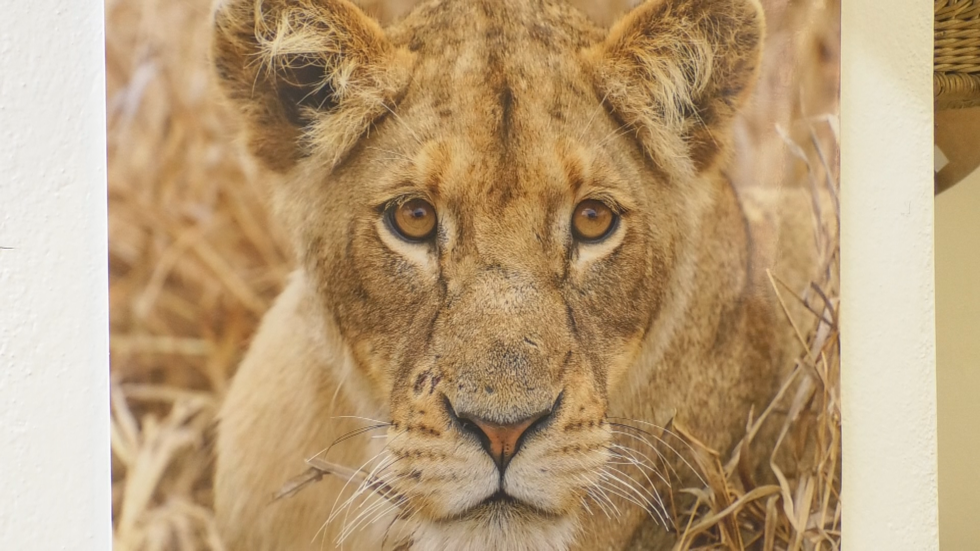 Gyetven Melinda fotókiállítása a Párkányi Városi Múzeumban   2026. 03. 04.